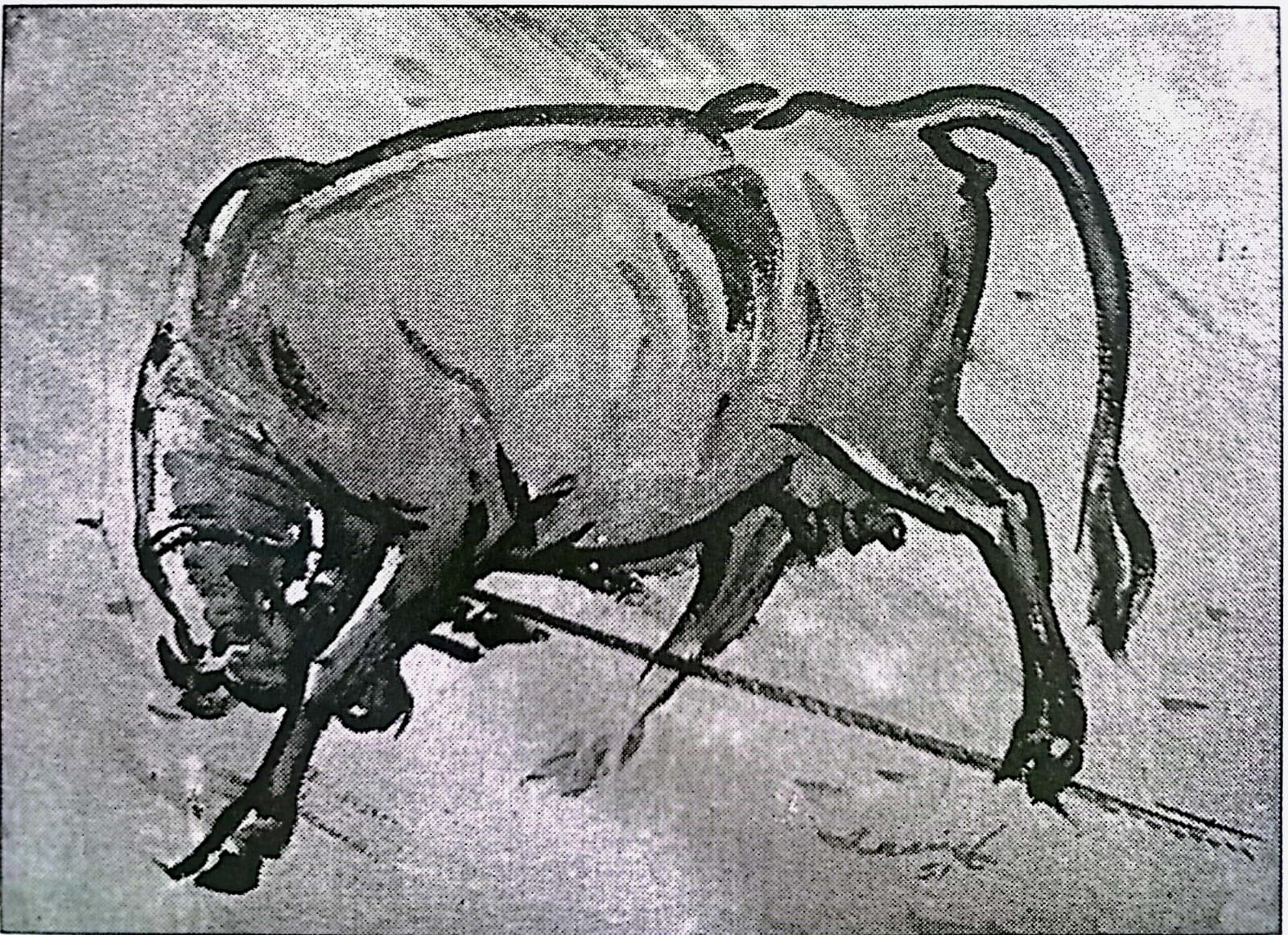 চিত্রশিল্পী জয়নুল আবেদিন