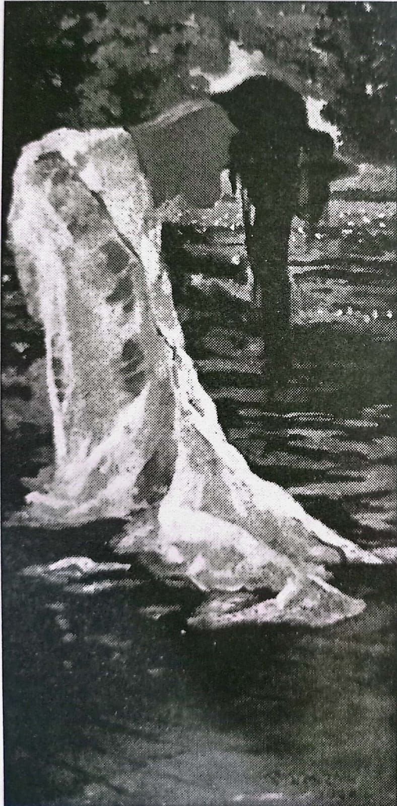 শিল্পী কামরুল হাসান