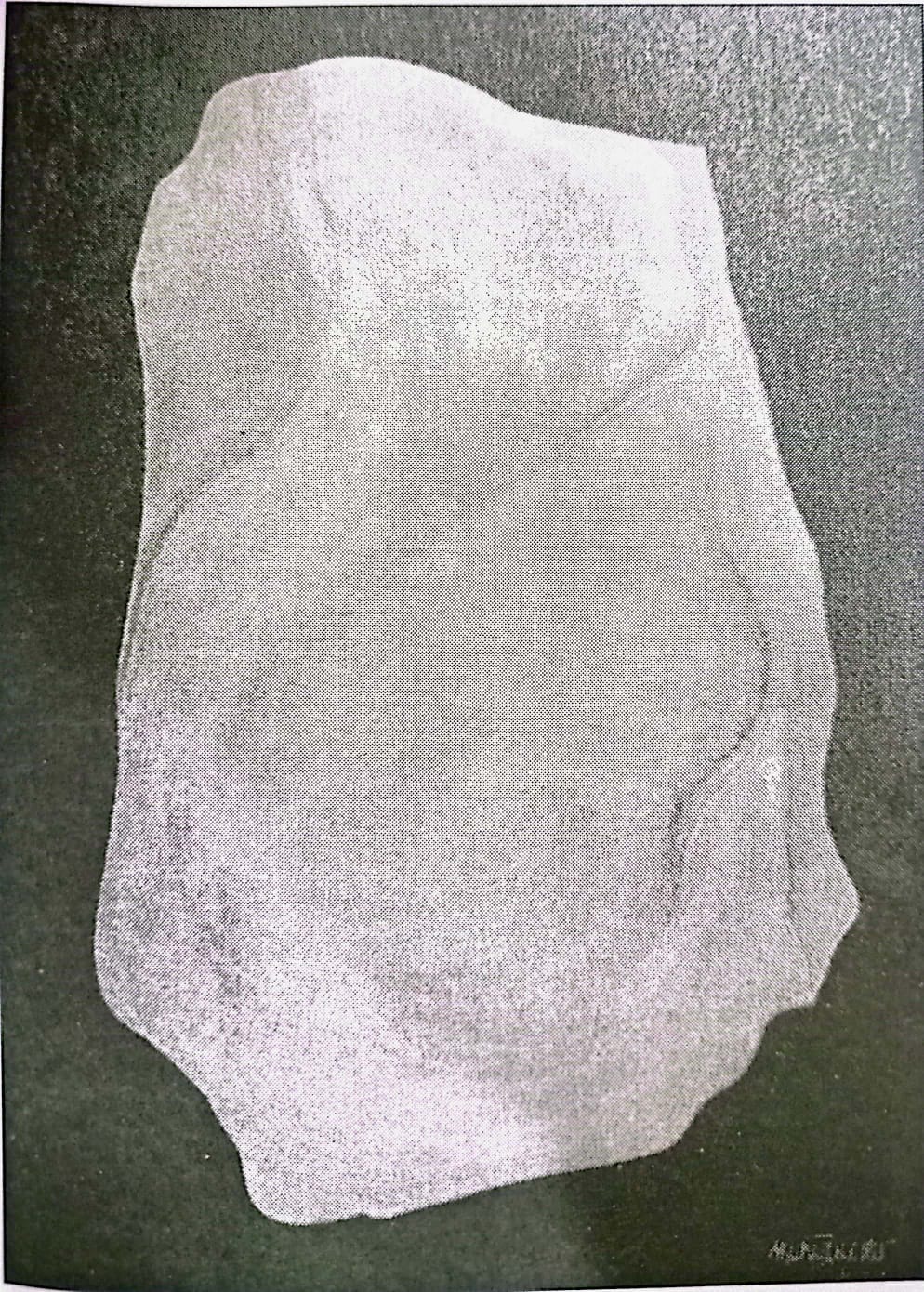 শিল্পী মুর্তজা বশীর