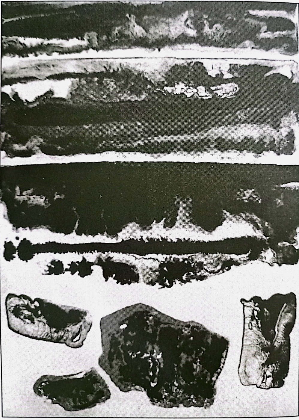 শিল্পী মোহাম্মদ কিবরিয়া