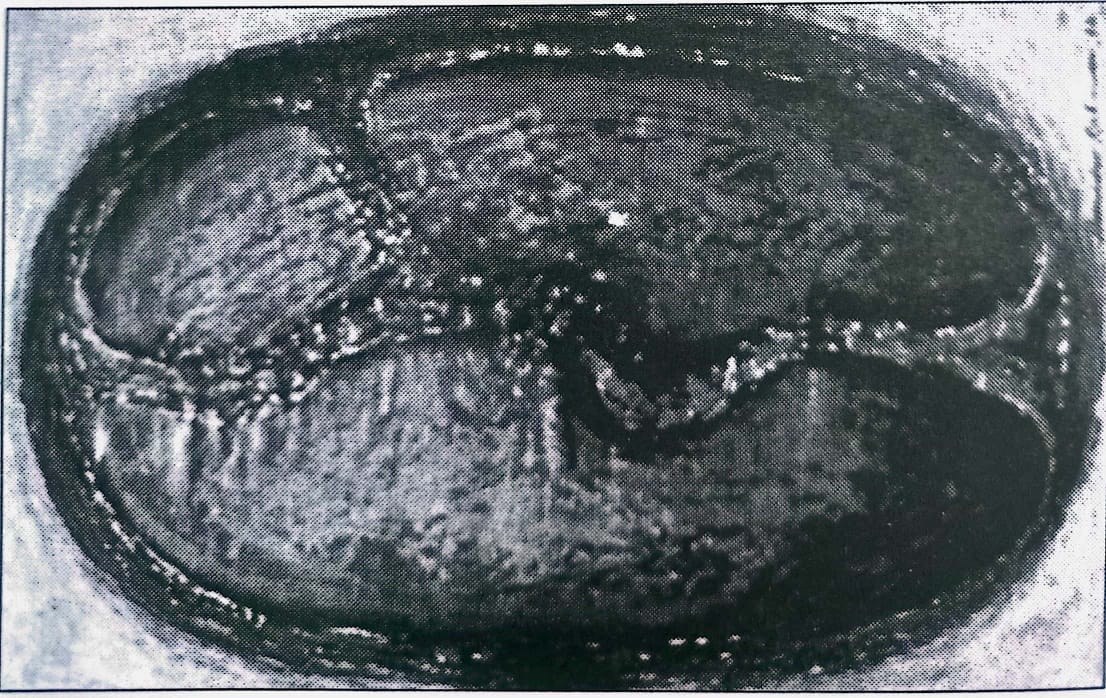 শিল্পী হামিদুর রহমান